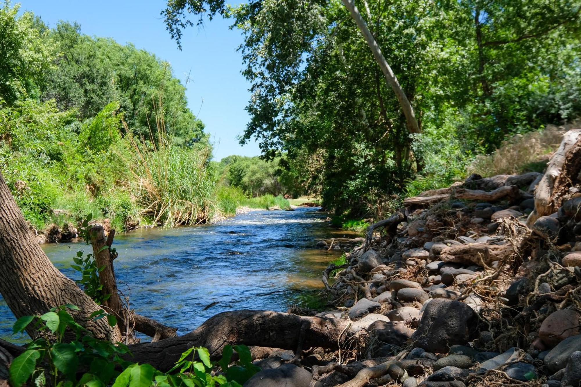 Creek Sanctuary 20 Cooler By The Water Cornville Exterior photo